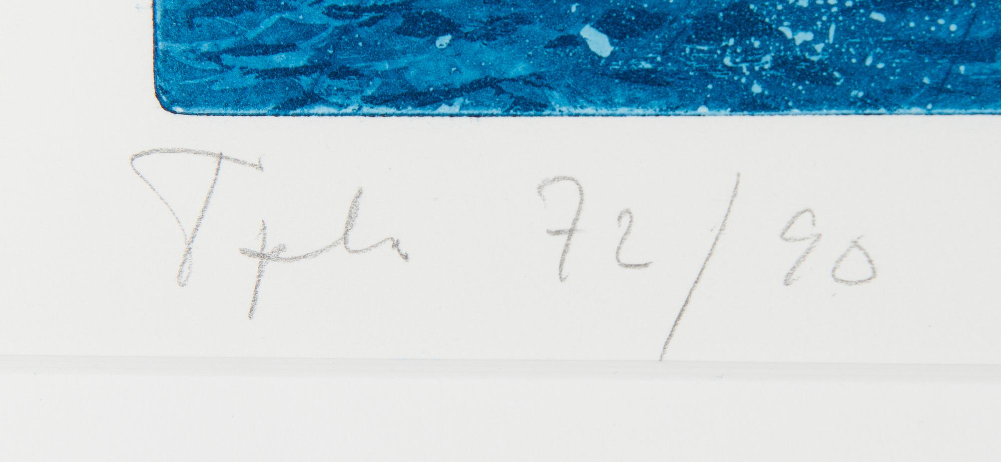 Päivi Lempinen, Meri.