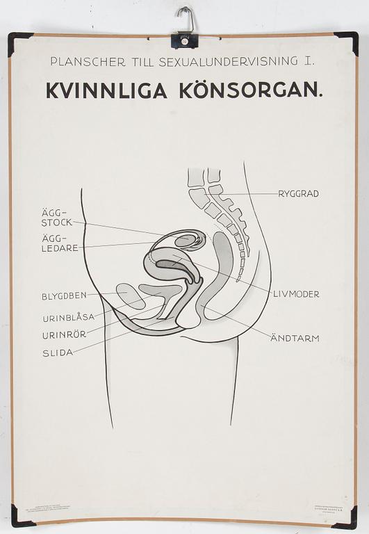 SKOLPLANSCHER, 4 st, 1900-talets mitt.
