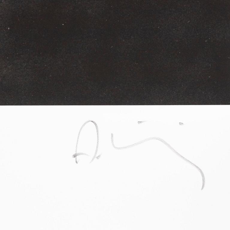 Albert Wiking, "Zara", 2015.