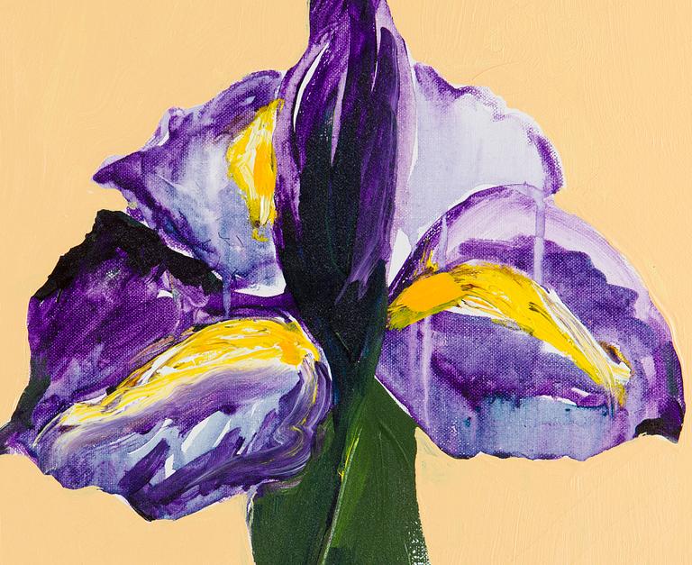 Tapani Mikkonen, Iiris.