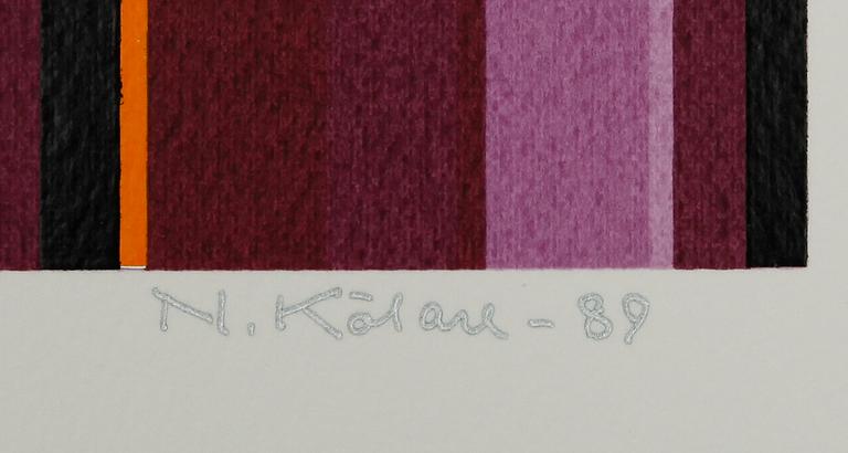 MAPP, Nordens Ljus, 5 olika konstnärer, grafik, begränsad upplaga nr 7.