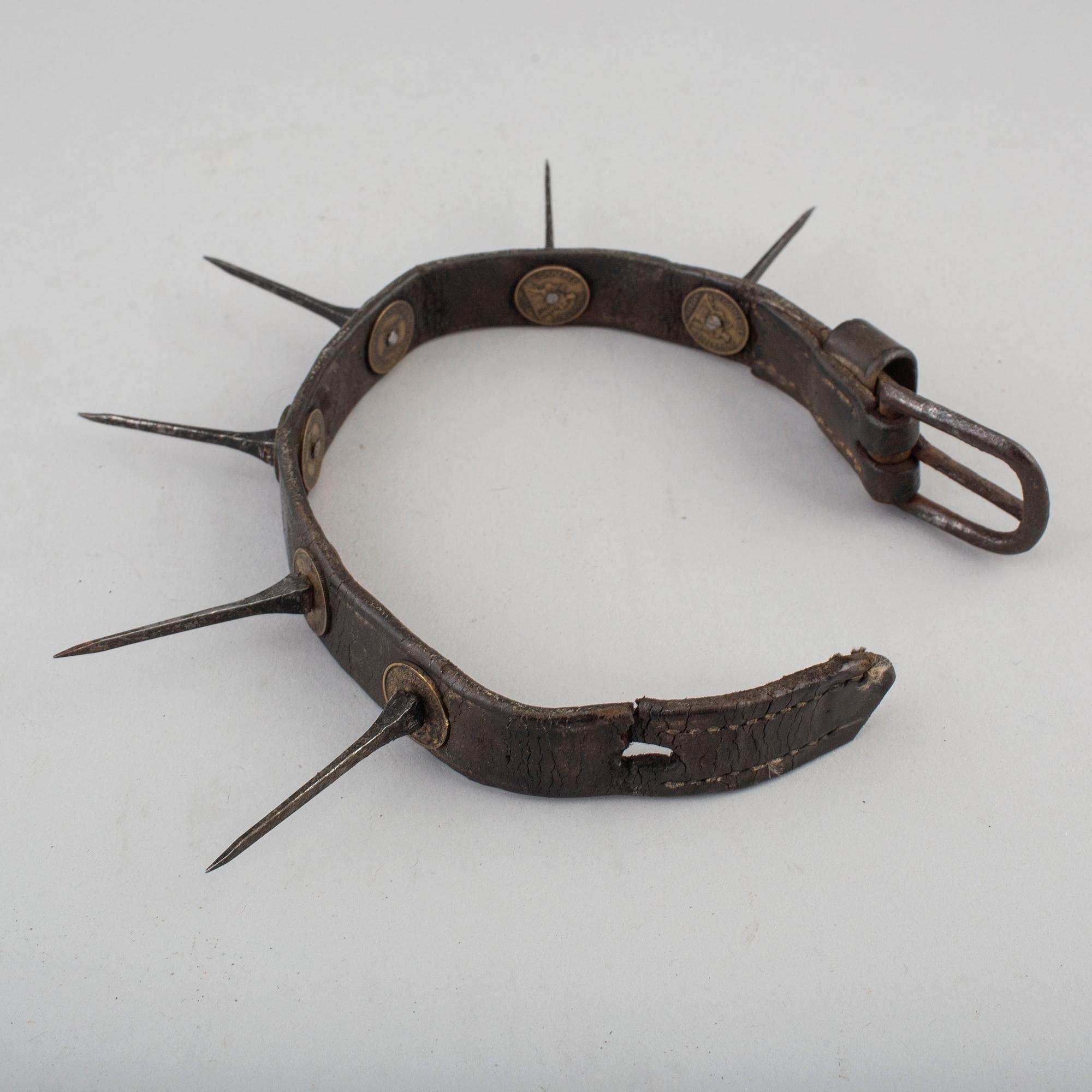 A first half of the 20th century dog collar.