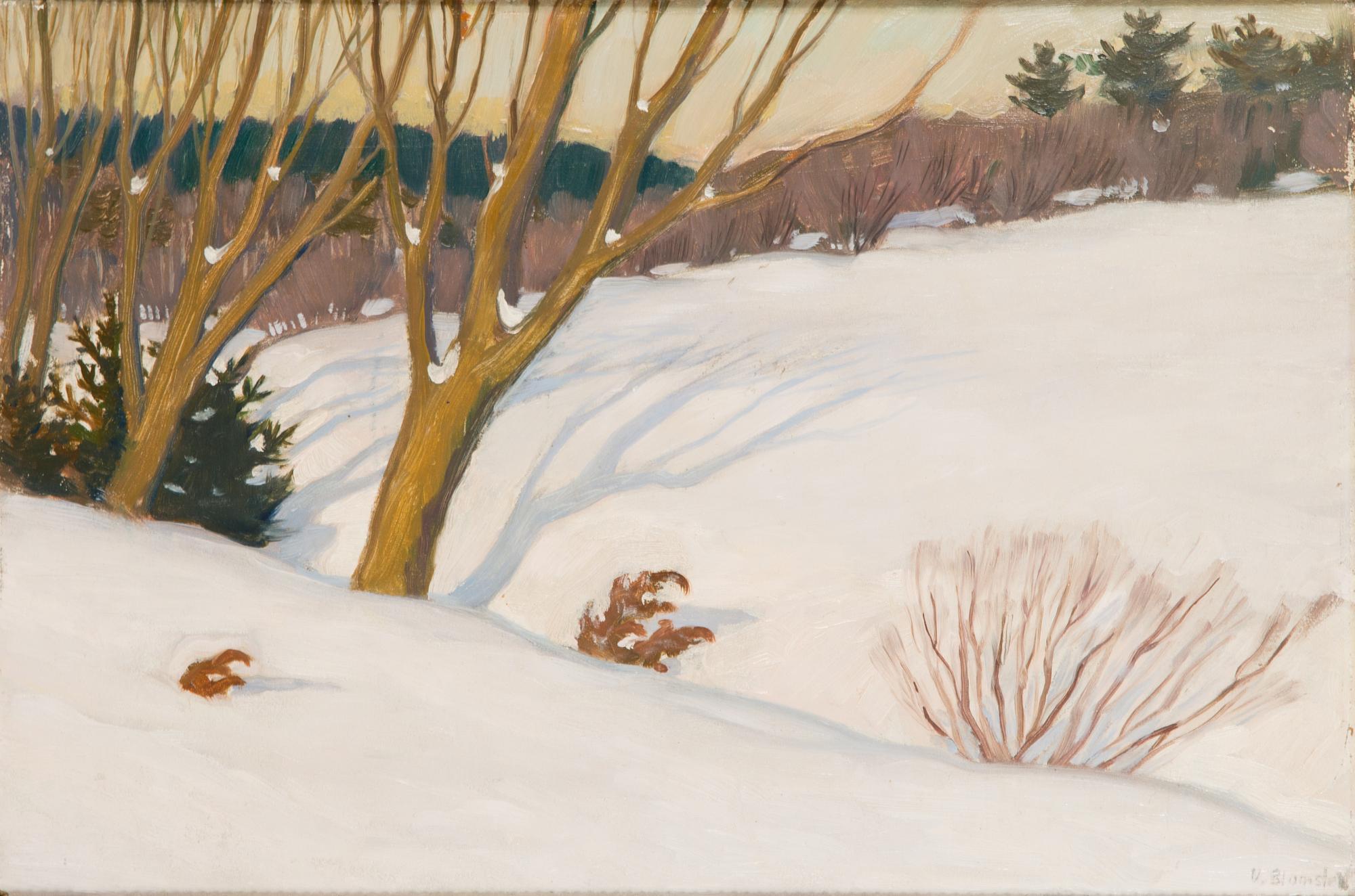 Väinö Blomstedt, Vinterlandskap.