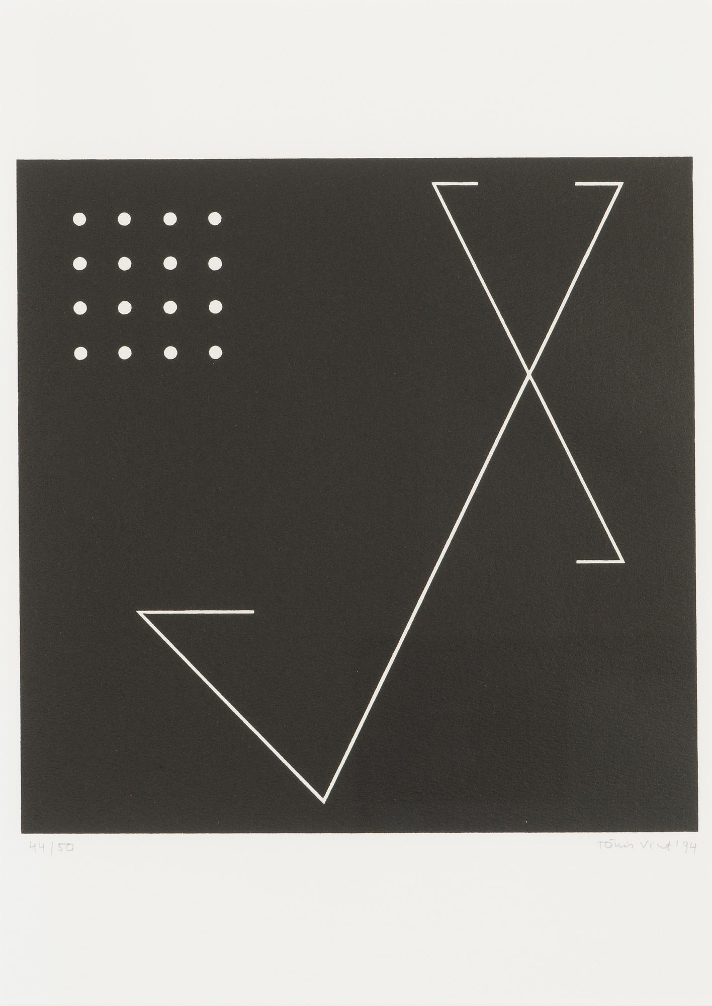 Tõnis Vint, Untitled.