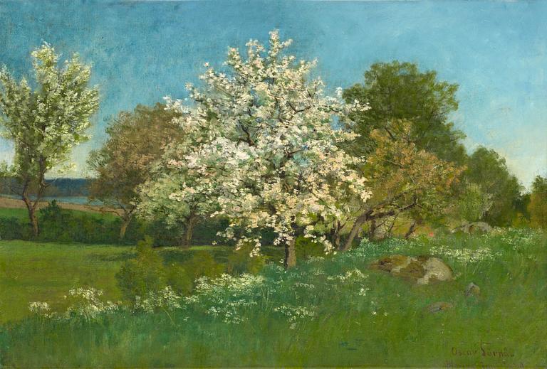 Oscar Törnå, Blossoming fruit tree.