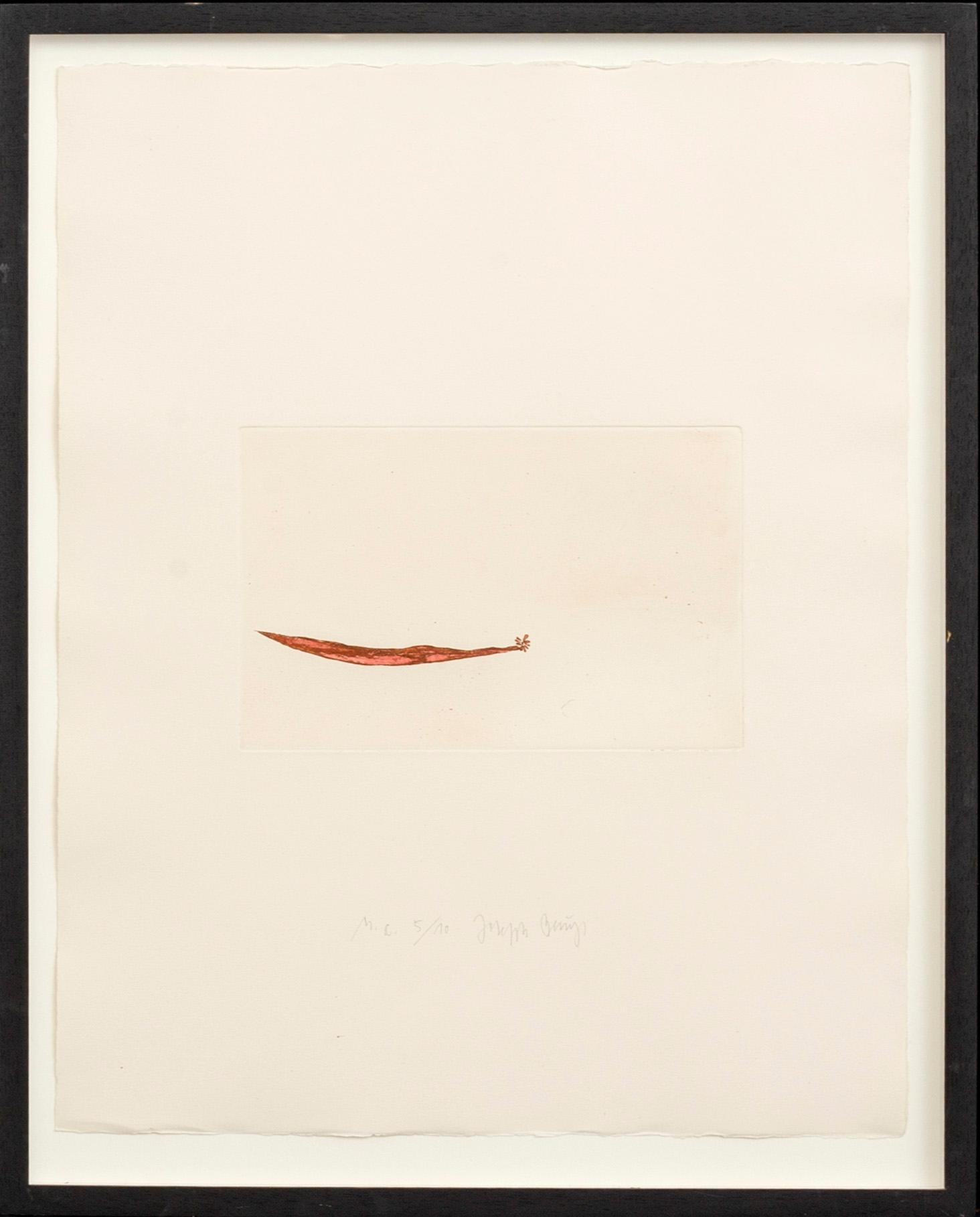 JOSEPH BEUYS, färgetsning och aqvatint signerad och numrerad HC 5/10.