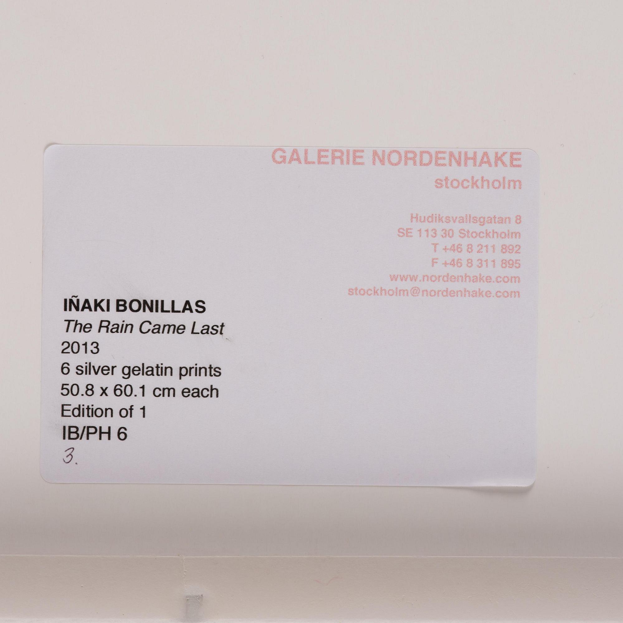 Iñaki Bonillas, "The Rain Came Last", 2013.