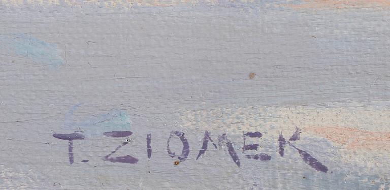 TEODOR ZIOMEK, olja på duk, signerad.