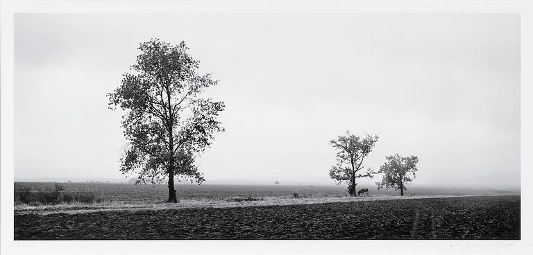 Pentti Sammallahti, "MONTANA, BULGARIA".