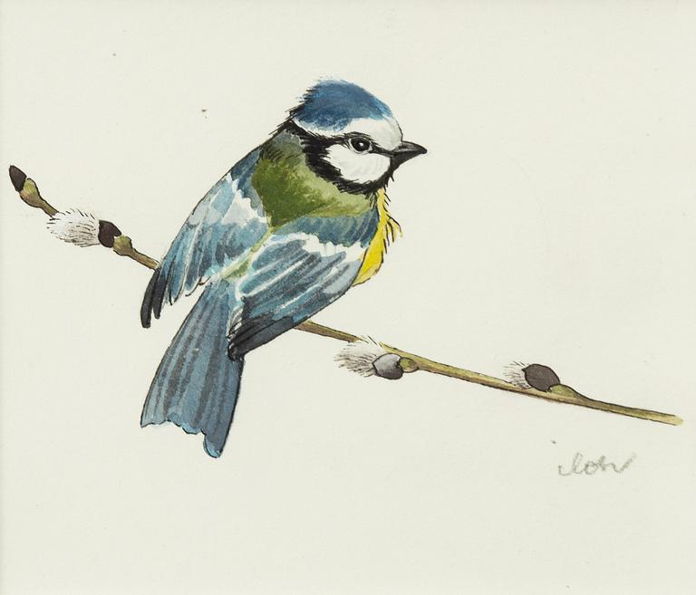 Ilon Wikland, Blue tit on a willow branch.