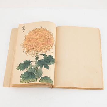 Bok, Hasegawa Keika 長谷川契華, '100 krysantemum' 契花百菊, volym III, Japan 1893.