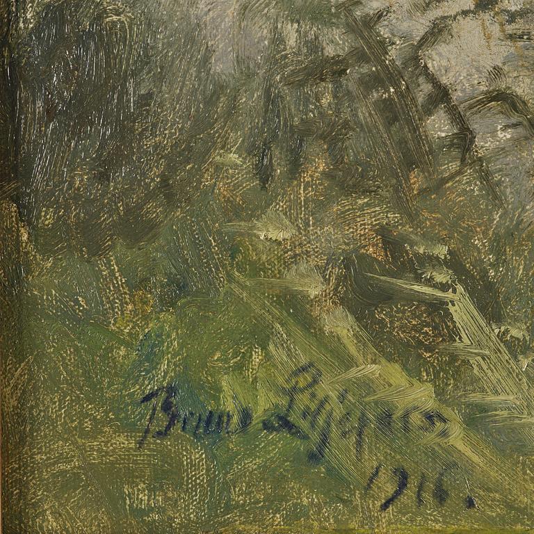 Bruno Liljefors, Flygande änder.