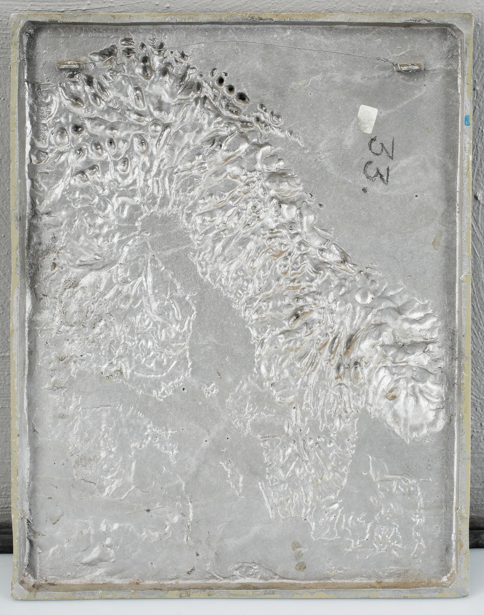 SKOLPLANSCH samt METALLKARTA, Norden och Sverige, 1900-tal.