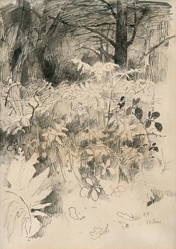 34. Helene Schjerfbeck, "FOREST SCENE FROM ST. IVES".