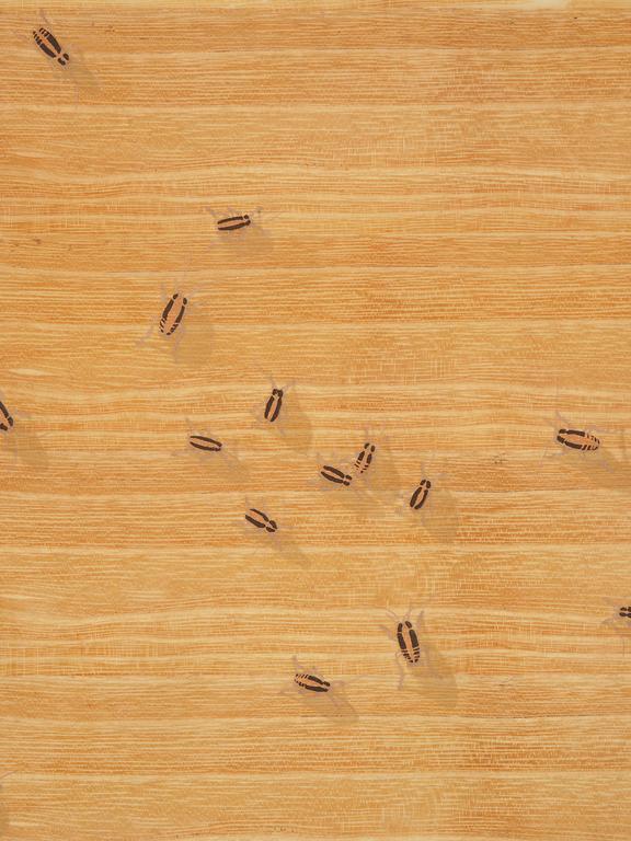 Ed Ruscha, "Flies" ur "Insects".