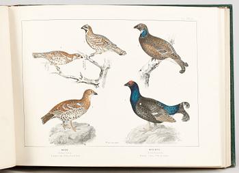 BOKVERK, 3 vol, "Svenska Foglarna" av Carl Jacob Sundevall och JGH Kinberg, Stockholm 1856-85.