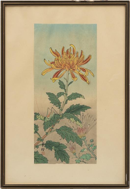 Jo (Yuzuru Hashimoto), 'Chrysanthemums and Grasshopper'.