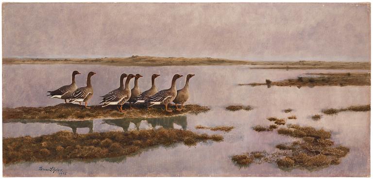 Bruno Liljefors, Geese in wetland.