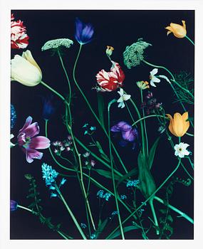 Denise Grünstein, "21 maj", 2007.