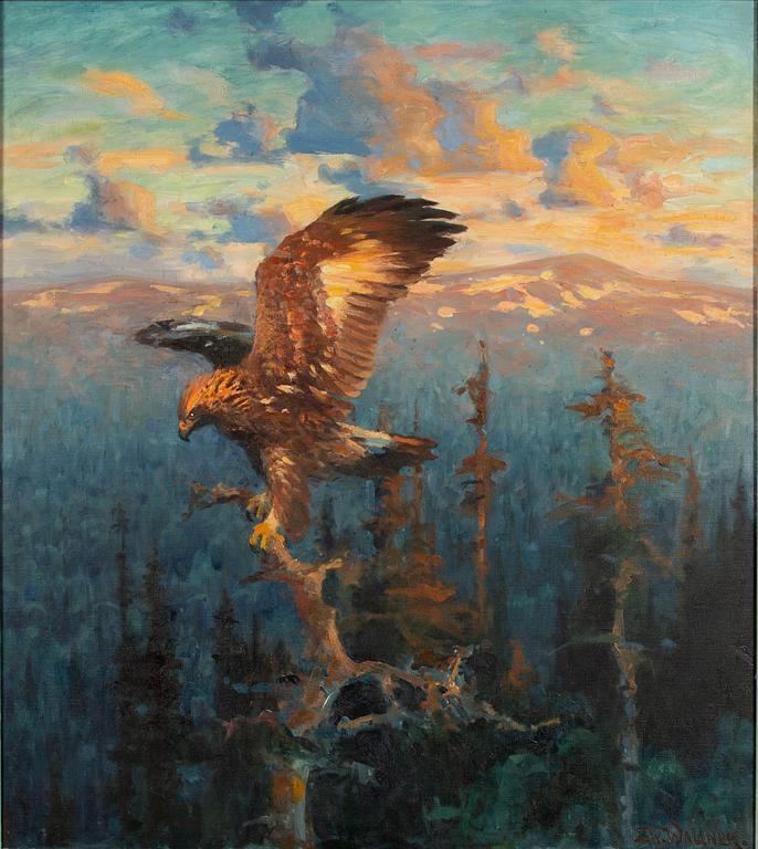 Thure Wallner, Eagle in sunset.