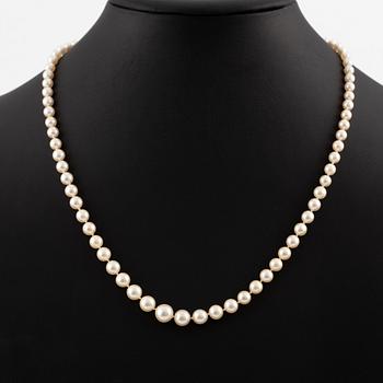 Pärlcollier, doserade odlade pärlor, lås, Alton, 18K vitguld med vit fasettslipad sten.