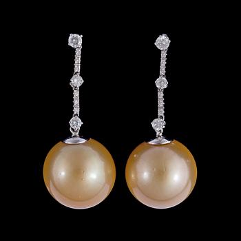 321. A pair of cultured golden South sea pearl, 15,8 mm, and brilliant cut diamond earrings, tot. 0.50 cts.