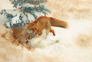 400. Bruno Liljefors, Fox with hare.
