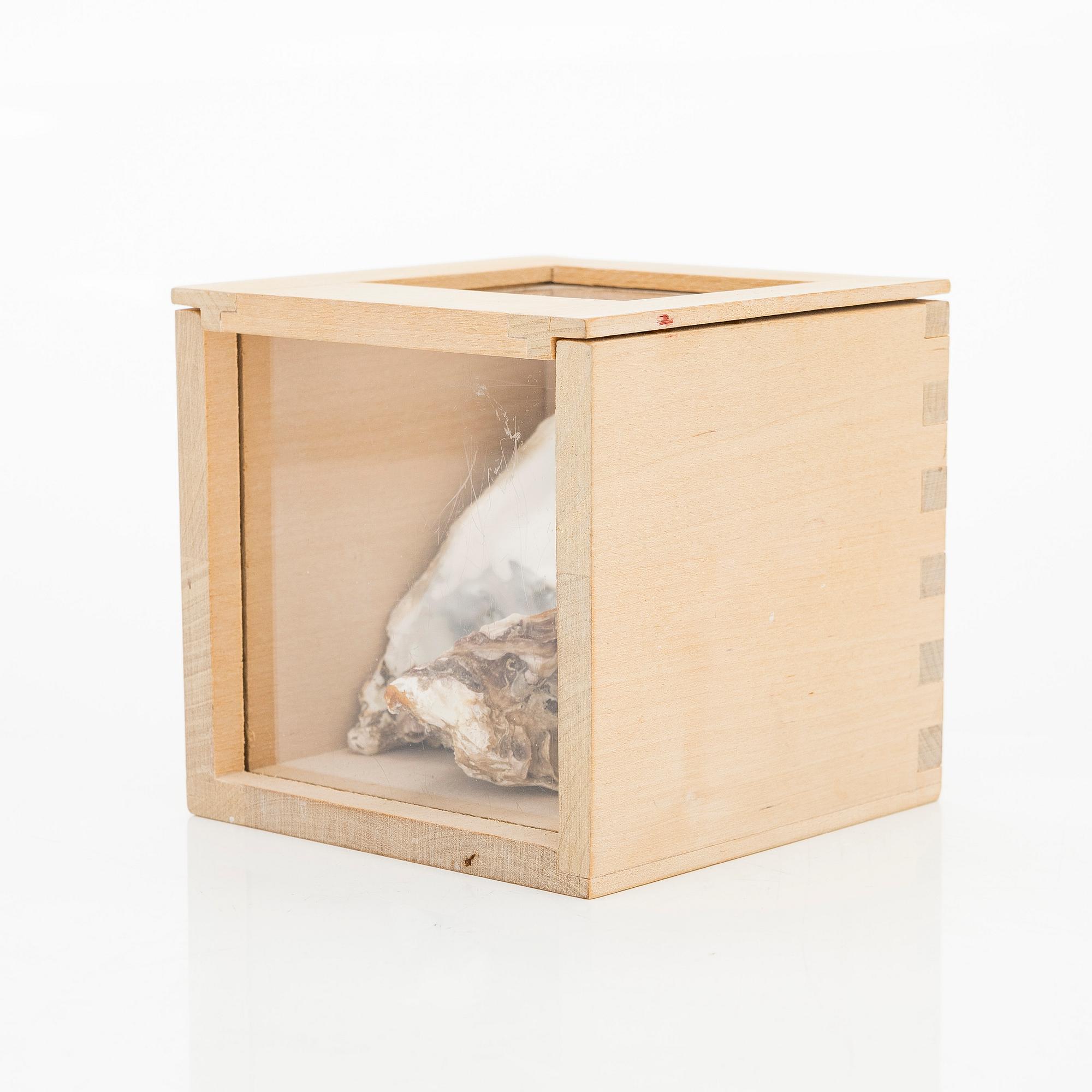 Juhani Harri, Tidsbox.