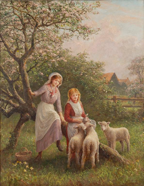 Trevor Haddon, Feeding the lambs.