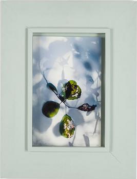 CARL-FREDRIK EKSTRÖM, pigment print, signed and dated 2013. Numbered 1/25.