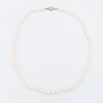 Cultured pearl necklace, clasp 18K white gold.