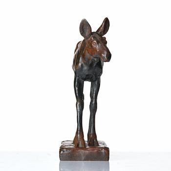 Arvid Knöppel, Moose calf.