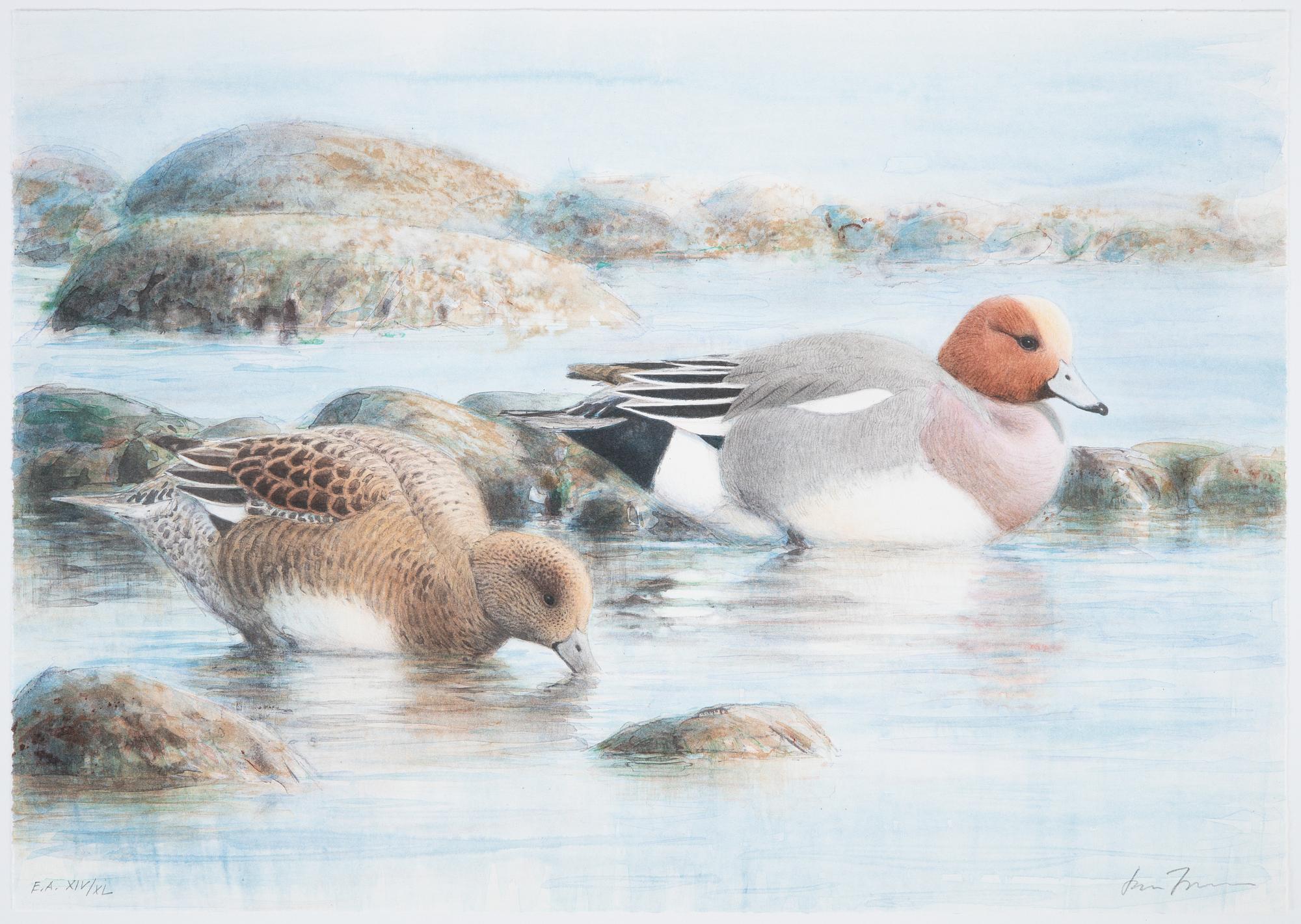 Lars Jonsson, portfolio "Strandspeglingar" with 5 lithographs in colour, signed EA XIV/XL.