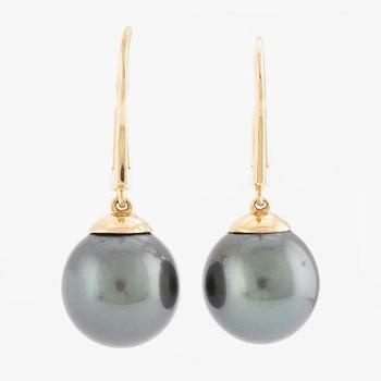 A pair of earrings in 14K gold with cultured pearls, likely Tahitian pearls.