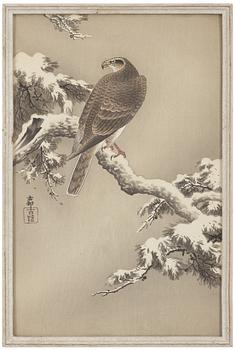 A woodblock print by Ohara Koson (1877-1945) of a hawk.