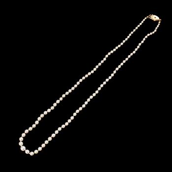 PÄRLCOLLIER, odlade doserade pärlor, lås 18 k guld.
