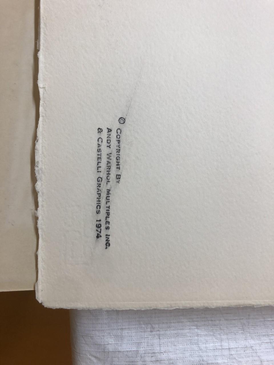 ANDY WARHOL,Silkscreen 1974, on Arches paper, signed with initials in pencil, and also signed and numbered 99/250 verso.