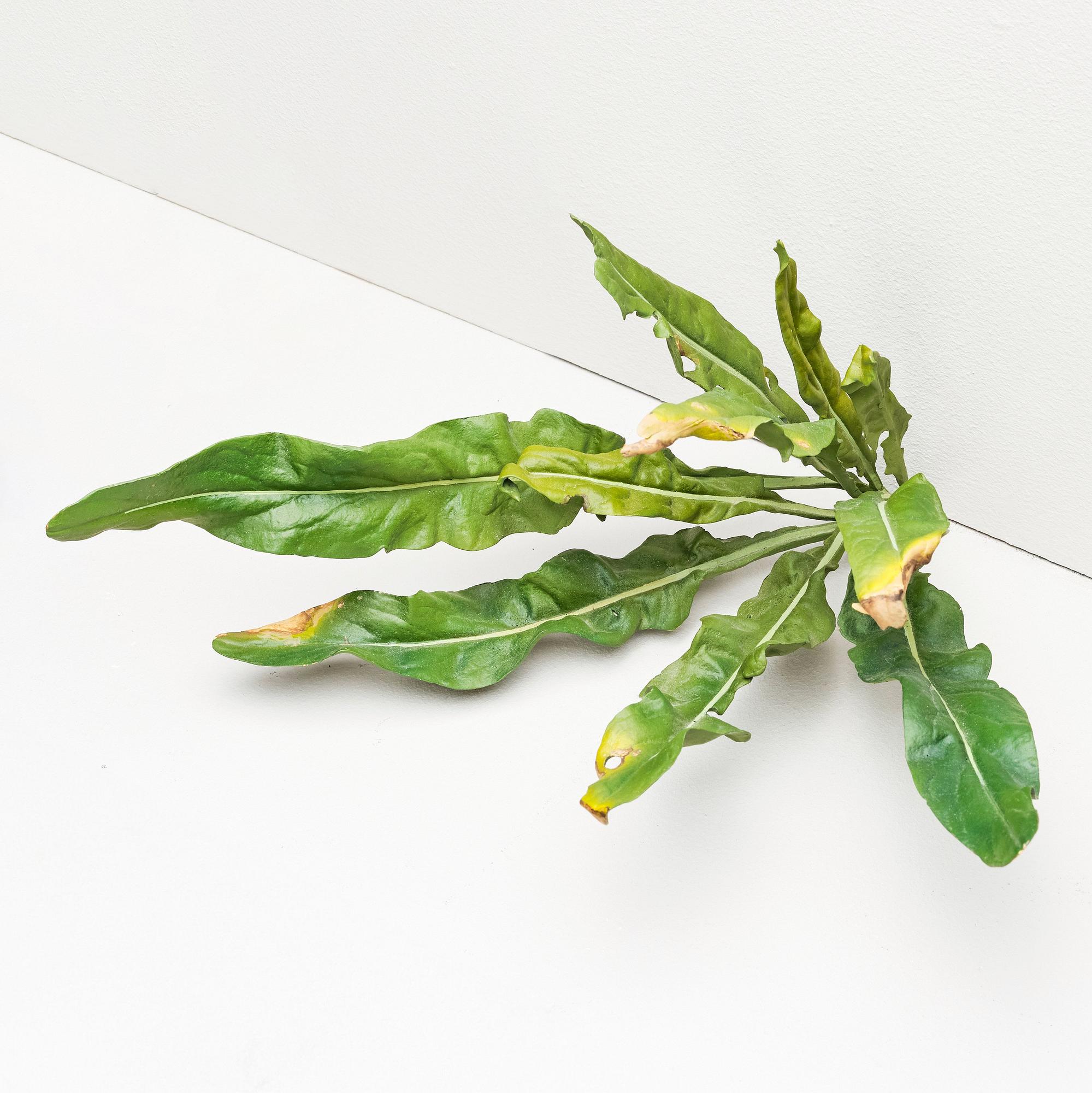 Tony Matelli, "Weed #65".