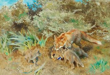 664. Bruno Liljefors, Fox family with mallard.