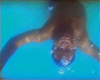 Isaac Julien, "Paradise Omeros (single screen)".