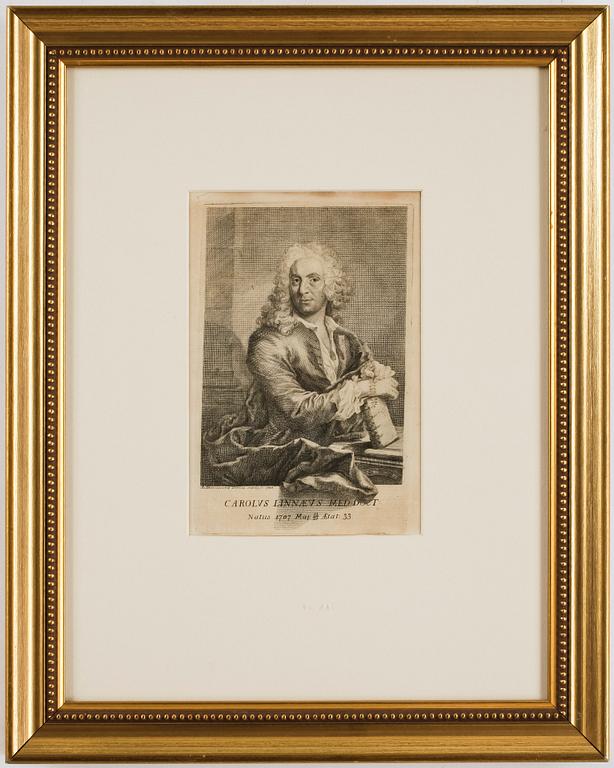 KOPPARSTICK, graverat av Augustin Ehrensvärd, 1740.