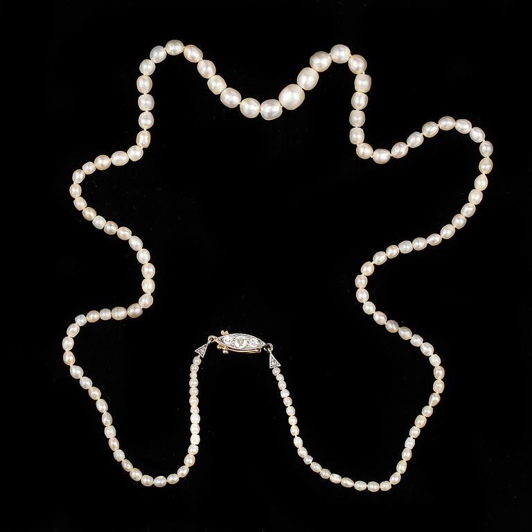 COLLIER, orientaliska pärlor, lås i guld med små diamanter.