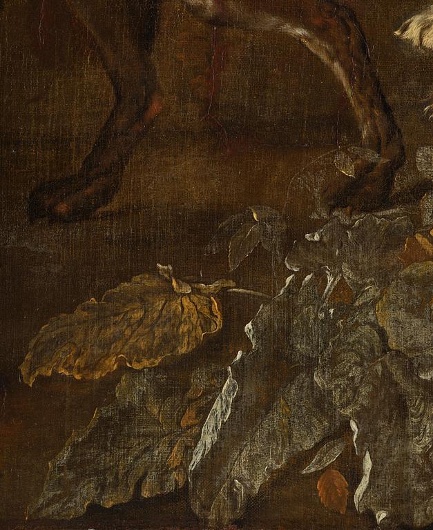 Ernst van Dalen, The sneaky fox.