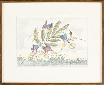 KARL AXEL PEHRSON, 2st,  färglitografier, signerade, numrerad H.C XXVI/XXXV samt provtryck. Daterade -73/74.