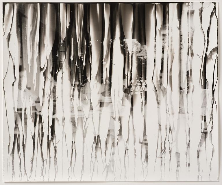 Iñaki Bonillas, "The Rain Came Last", 2013.