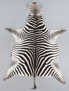 ZEBRASKINN, Tanzania, 2004.
