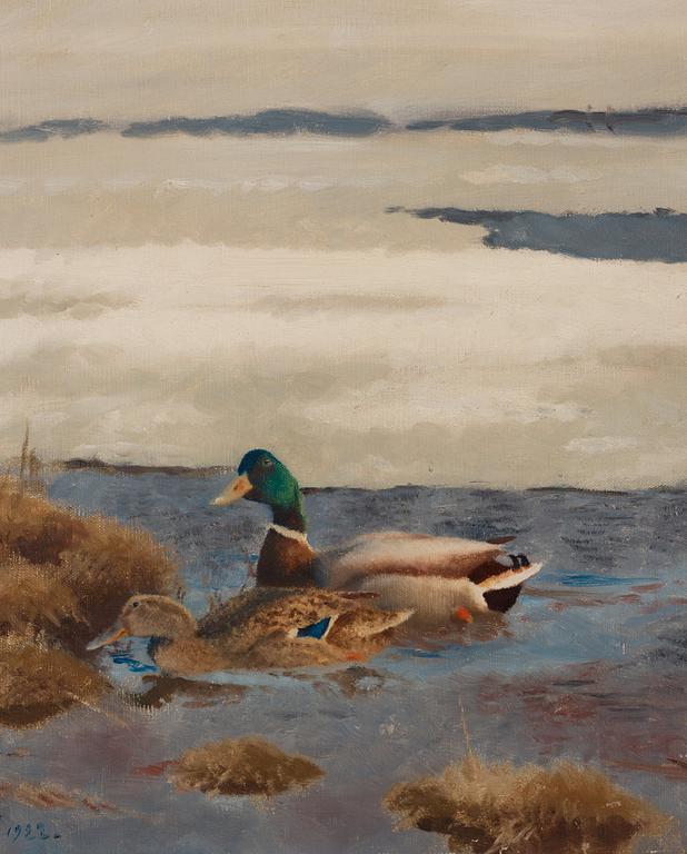 Bruno Liljefors, Winter scene with a mallard couple.