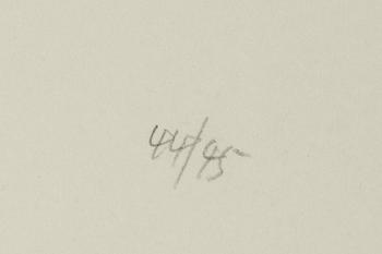 Toko Shinoda, lithograph in colours, signed 44/95.