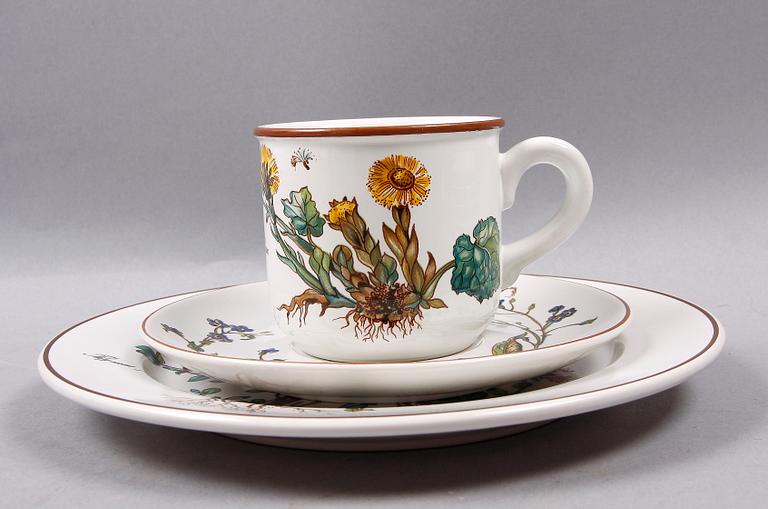 KAFFESERVIS, 17 delar, vitroporslin, "Botanica", Villeroy & Boch.