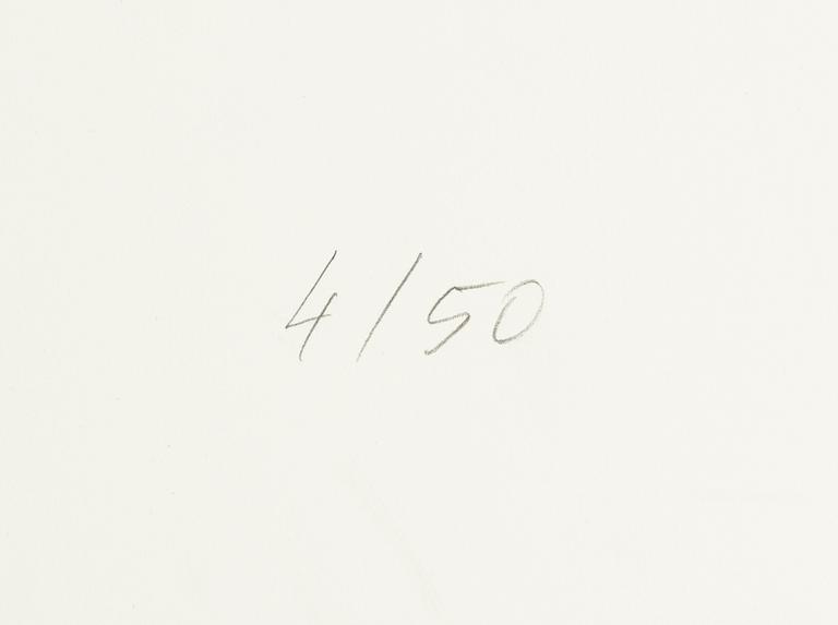 Raul Meel, "Windows and Landscape 3".